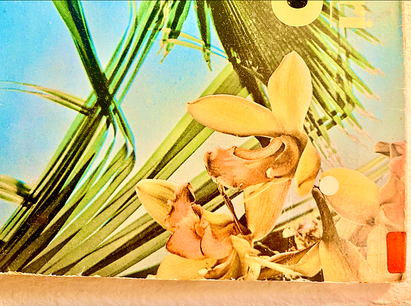 Bildschirmfoto 2026-02-26 um 10.04.44.png