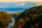 iStock-1184266165.jpg