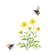 flowers and bees