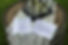 285107650_309047718098349_7606554669075747517_n.jpg