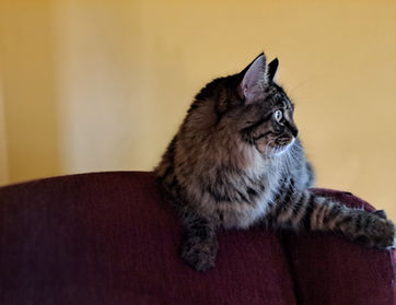 Bubs.jpg