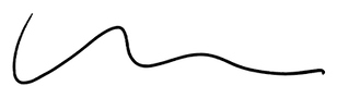 190-1901900_black-squiggle-hd-png-download_edited.png