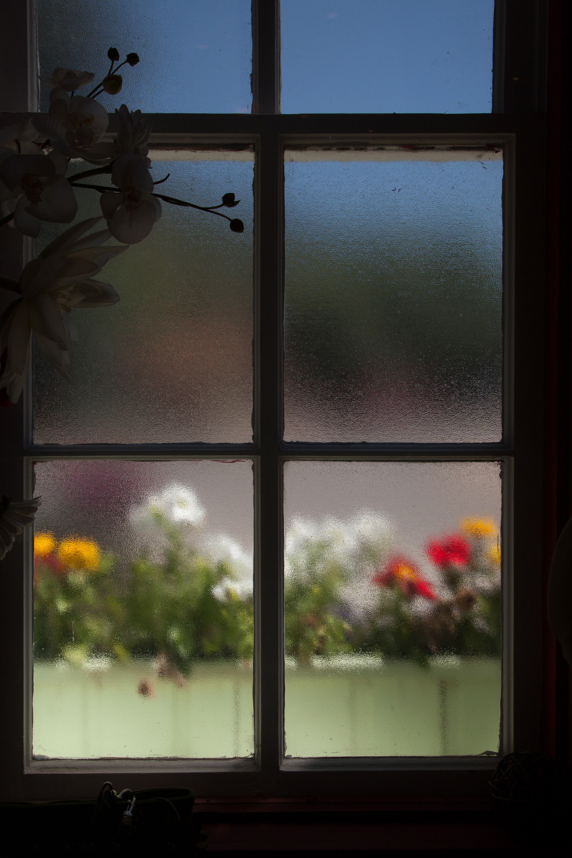 Flower Window