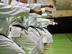 karate.webp