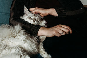 SPF9610. April 2022.jpg