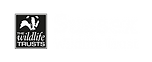 Sussex Wildlife Trust.png