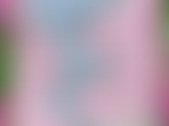 Virtual Synchro Workout