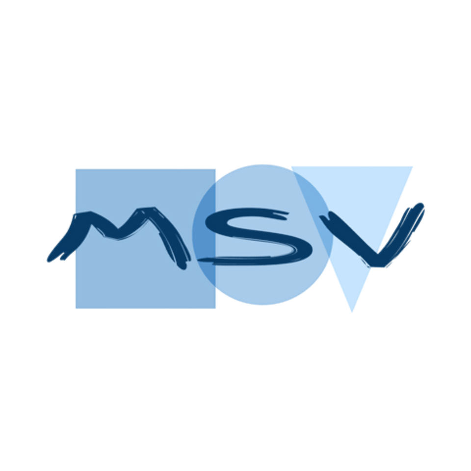 Logo Soudure MSV