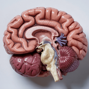 Ictus cerebrale: come riconoscerlo in pochi secondi 