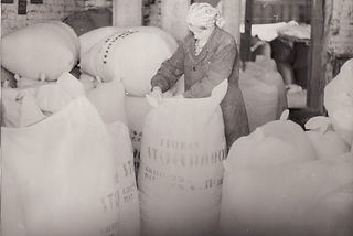 4 Svencioniu vaistazoliu fabrikas pakavi
