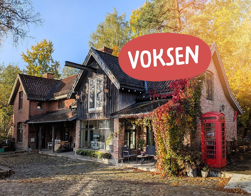 Tegneklubben for voksne