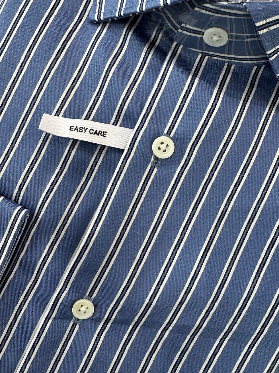 Seidensticker Regular Fit Shirt: Blue Stripe