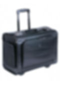 Mancini Wheeled Catalog Case