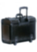 Mancini Wheeled Catalog Case