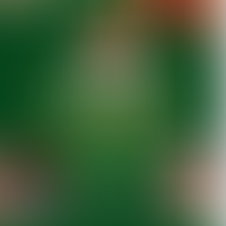 This Friday! Holiday in the Ladera Park