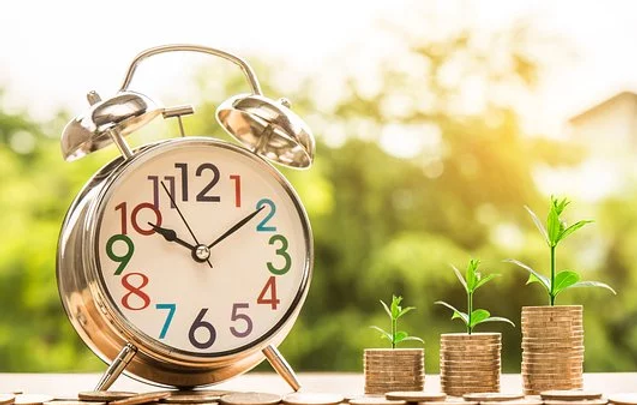 clock money plant.webp