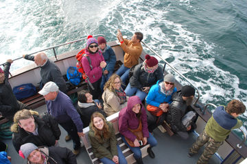 friends, boat, cruise, fun