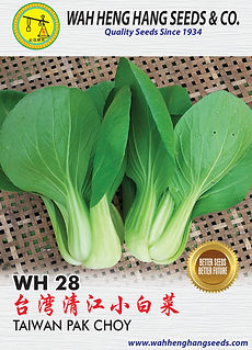 PN13-02386(R1)_100mm x 140mm WH28_Taiwan