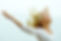 canstockphoto6712415.jpg