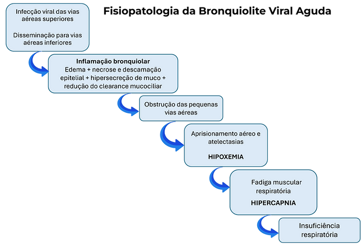 bronquiolite_fisiopatologia.jpg.png