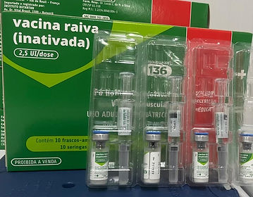 vacina raiva.jpg