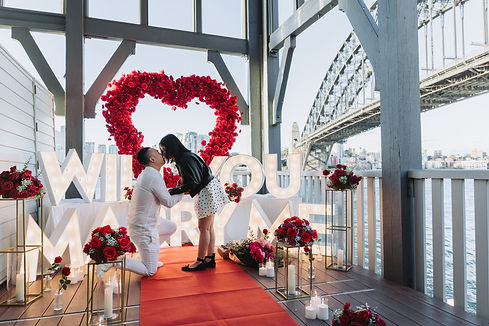 Sydney Proposal Planner.jpg