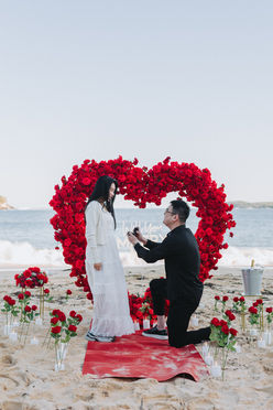 Sydney Beach Proposal