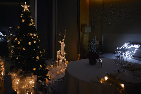 Sydney Christmas Proposal