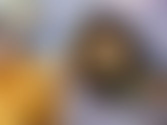 みつせ鶏　砂肝とネギのアヒージョ