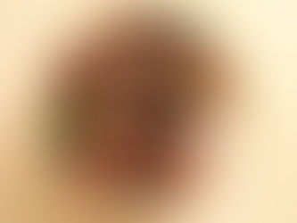 みつせ鶏の焼鳥丼