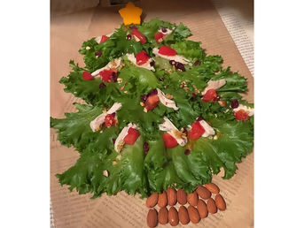 みつせ鶏のクリスマスサラダ