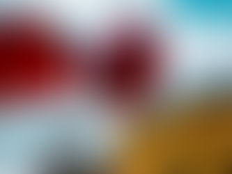 MAXXI, il museo delle arti                         