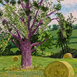 david hockney, a year in normandie, exposition musée de l'orangerie, dessin ipad, que visiter à paris, oeuvre d art, musée paris, ouverture musée, expositions musées