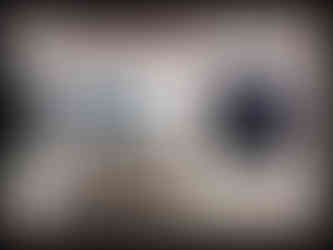 claude monet, joan mitchell, peinture impressionniste, peinture expressionnisme abstrait, fondation vuitton, expo paysages, top expo, choisir expo, expo paris, que visiter à paris, oeuvre d art, musée paris, ouverture musée, expositions musées, la culture by rogers, byrogers, roger culture, culture des rogers, culture ludique, culture récréative, la culture qu'on comprend, culture simple