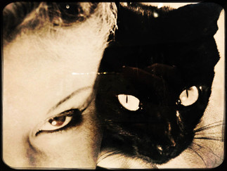 expo photo, lisa penn, expo top model, expo mep, expo maison de la photo, lisa fonssagrives penn, top expo, choisir expo, expo paris, que visiter à paris, oeuvre d art, musée paris, ouverture musée, expositions musées, la culture by rogers, byrogers, roger culture, culture des rogers, culture ludique, culture récréative, la culture qu'on comprend, culture simple