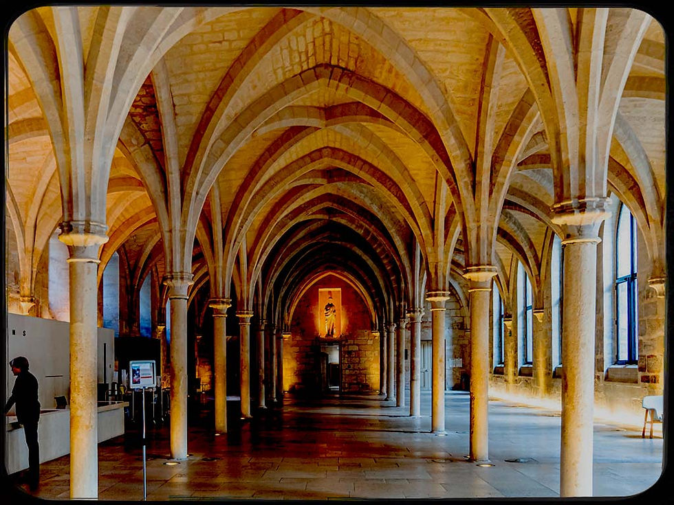 Photo Collège des Bernardins Paris, endroit insolite paris, paris secret, lieux insolites paris, endroits secrets paris, chose a visiter a paris, endroit a visiter a paris, paris insolite gratuit