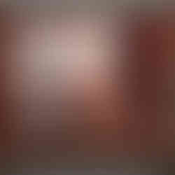 expo edelfelt, expo peinture finlande, expo petit palais, que visiter à paris, oeuvre d art, musée paris, ouverture musée, expositions musées