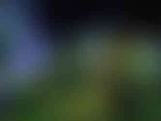 cézanne, impressionnisme, atelier des lumières, expo immersive, expo digitale, expo numérique, expo fun, expo famille, que visiter à paris, oeuvre d art, musée paris, ouverture musée, expositions musées