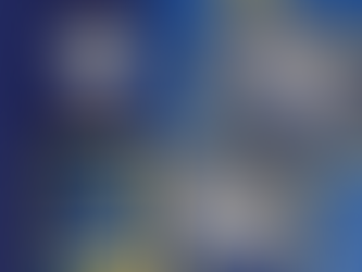 Je business optimaal laten draaien met de Radiolink Plus van Straightpoint