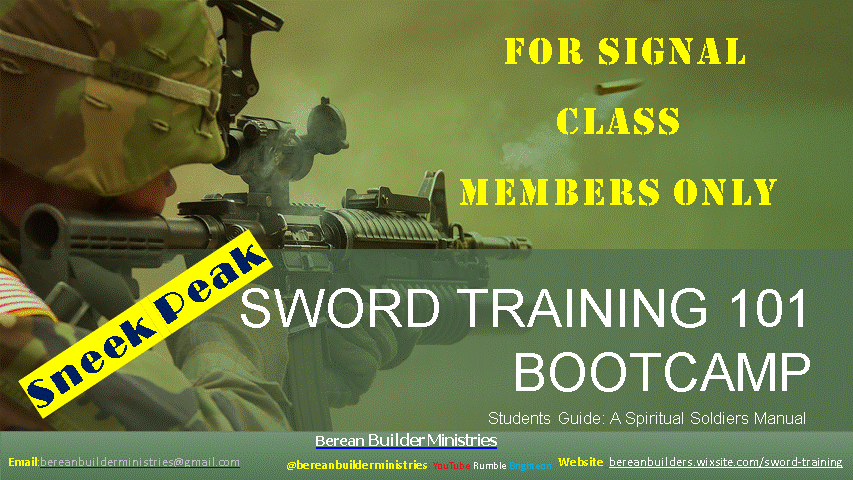 SWORD-TRAINING 101 sneek peek final.gif