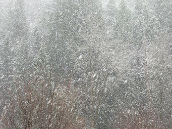 SATOMI丘最終日・アリアン編