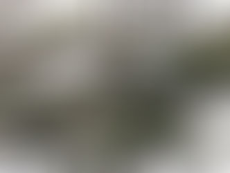 kanonさんの丘訪問