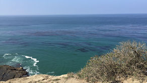 T長男さん最終リーディング【ご家族リーディング】