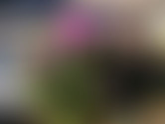 集団ストーカー回避法ページ