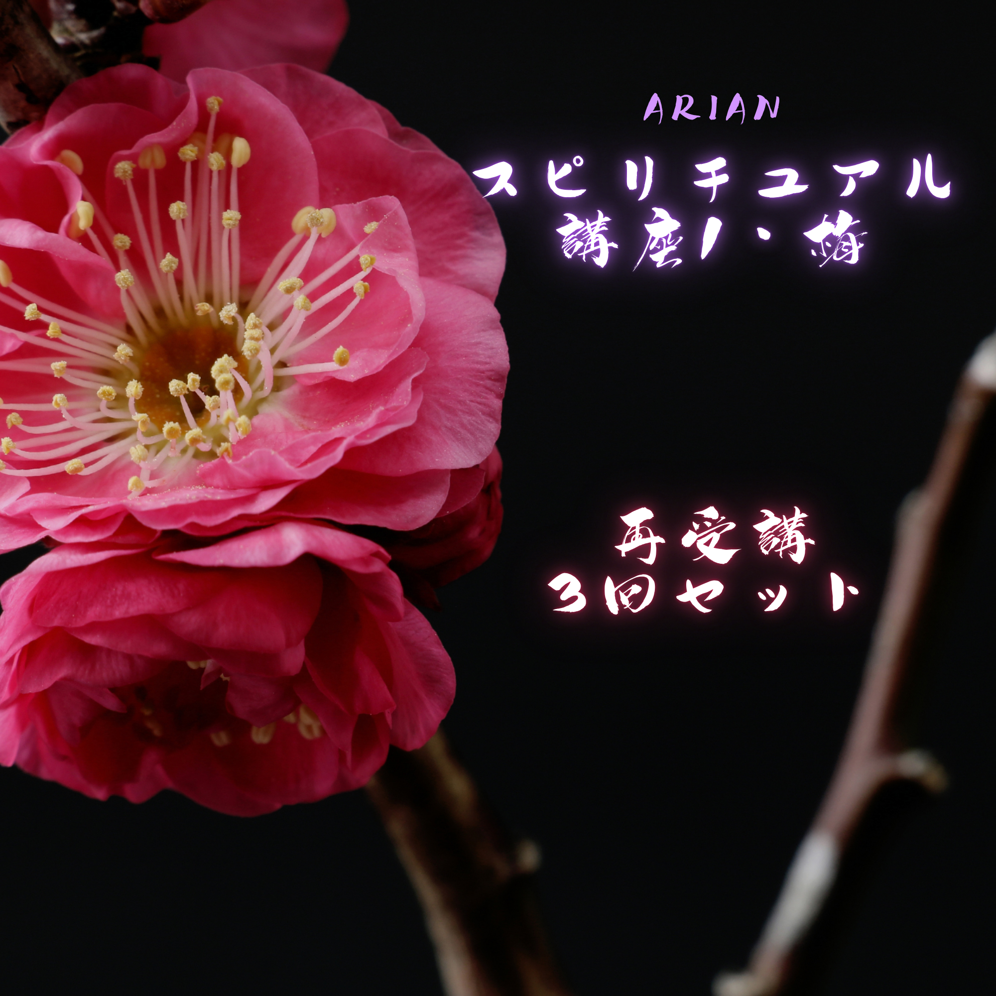 スピリチュアル講座・梅(再受講/3回セット)