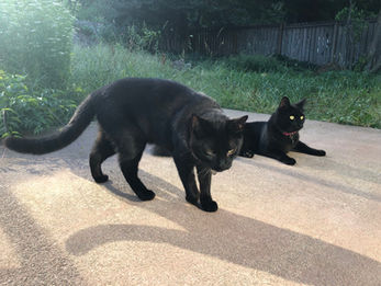 はにさん丘・kanon編