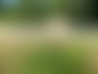 sasaさんリーディング【ポラリス】