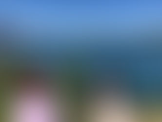 春のいろいろ🌸②