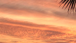 Tお父さんの丘ご報告