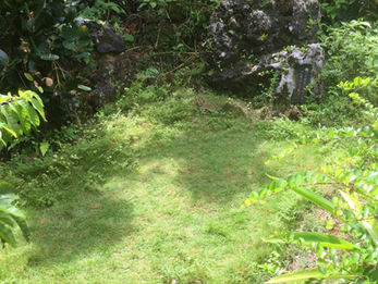 ルアン丘・のんちゃん編